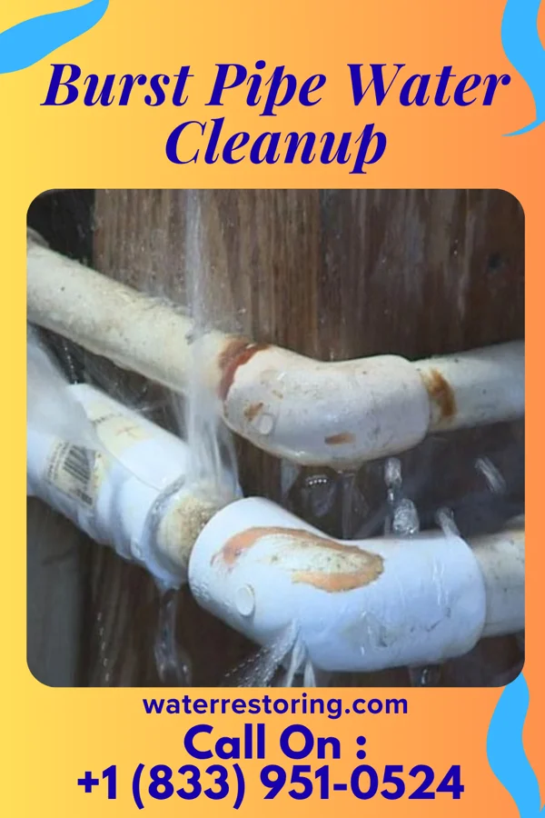 Burst Pipe Water Cleanup in Linwood, PA