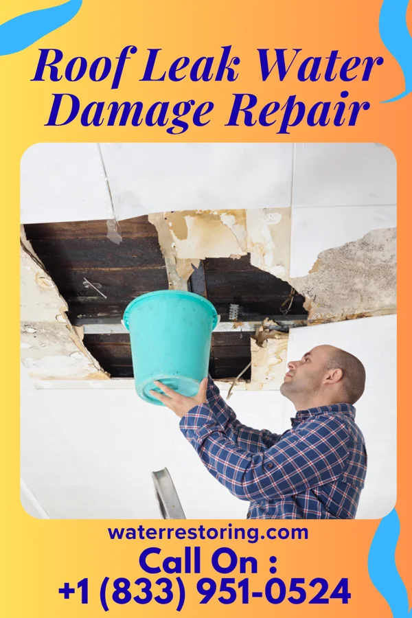 Roof Leak Water Damage Repair in Linwood, PA