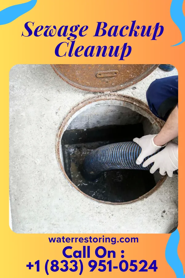 Sewage Backup Cleanup in Linwood, PA