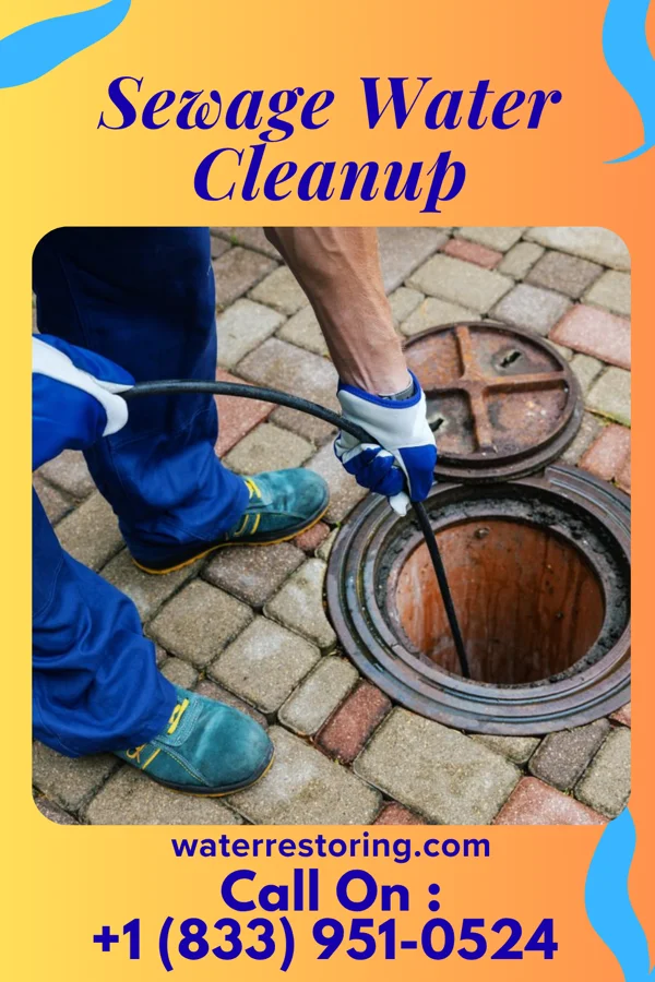 Sewage Water Cleanup in Linwood, PA