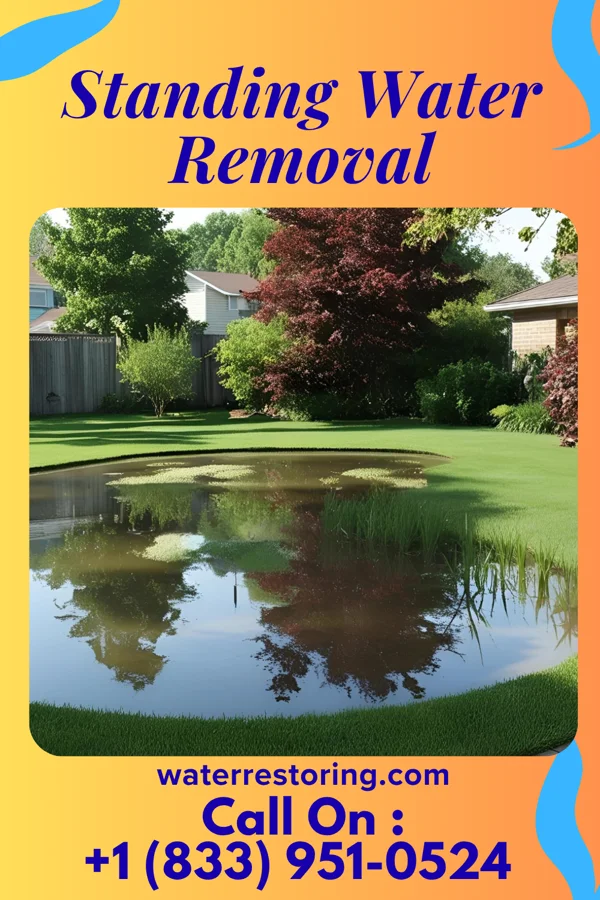 Standing Water Removal in Linwood, PA